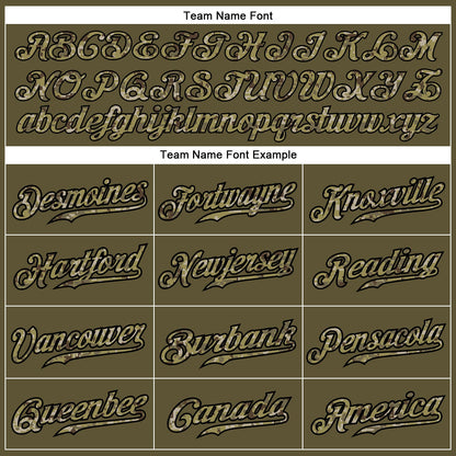Custom Olive Camo-Black Authentic Salute To Service Baseball Jersey - Sky-Custom