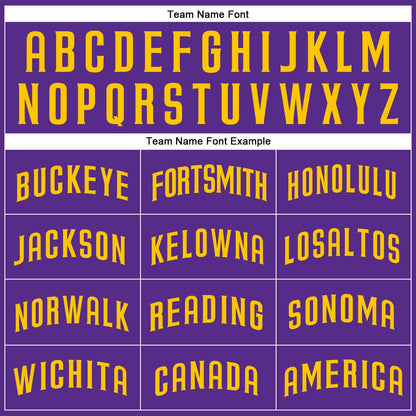 Custom Purple Gold Authentic Baseball Jersey - Sky-Custom